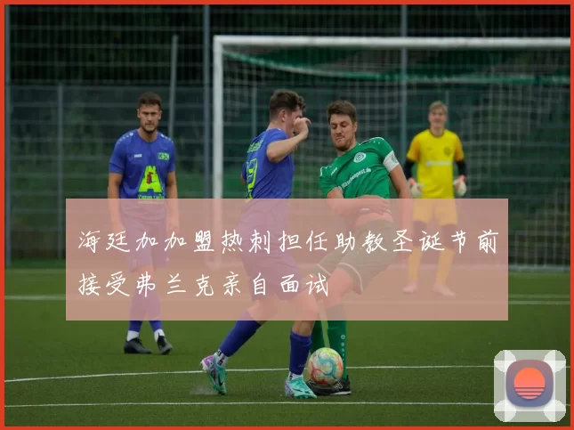 海廷加加盟热刺担任助教圣诞节前接受弗兰克亲自面试