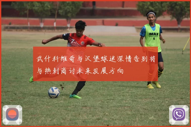 武什科维奇与汉堡球迷深情告别将与热刺商讨未来发展方向